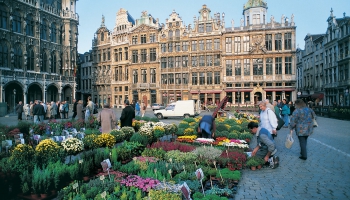 COVID-19 – Information for expats in Brussels